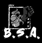 Mens BSA cotton t-shirt